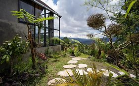 Mountain Peak Kintamani